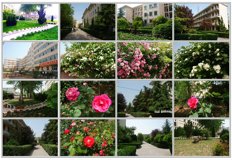 批注 2019-08-29 003135.jpg